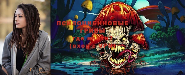 сатива Абаза
