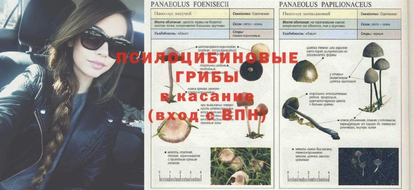гидропоника Абдулино