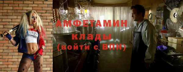 сатива Абаза