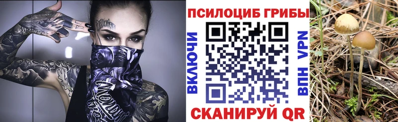 Псилоцибиновые грибы прущие грибы мега tor Новокубанск